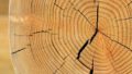 14_Webaufnahme_12-7-2022_10147_