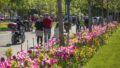 Außenansicht — Blumenweg Besucher