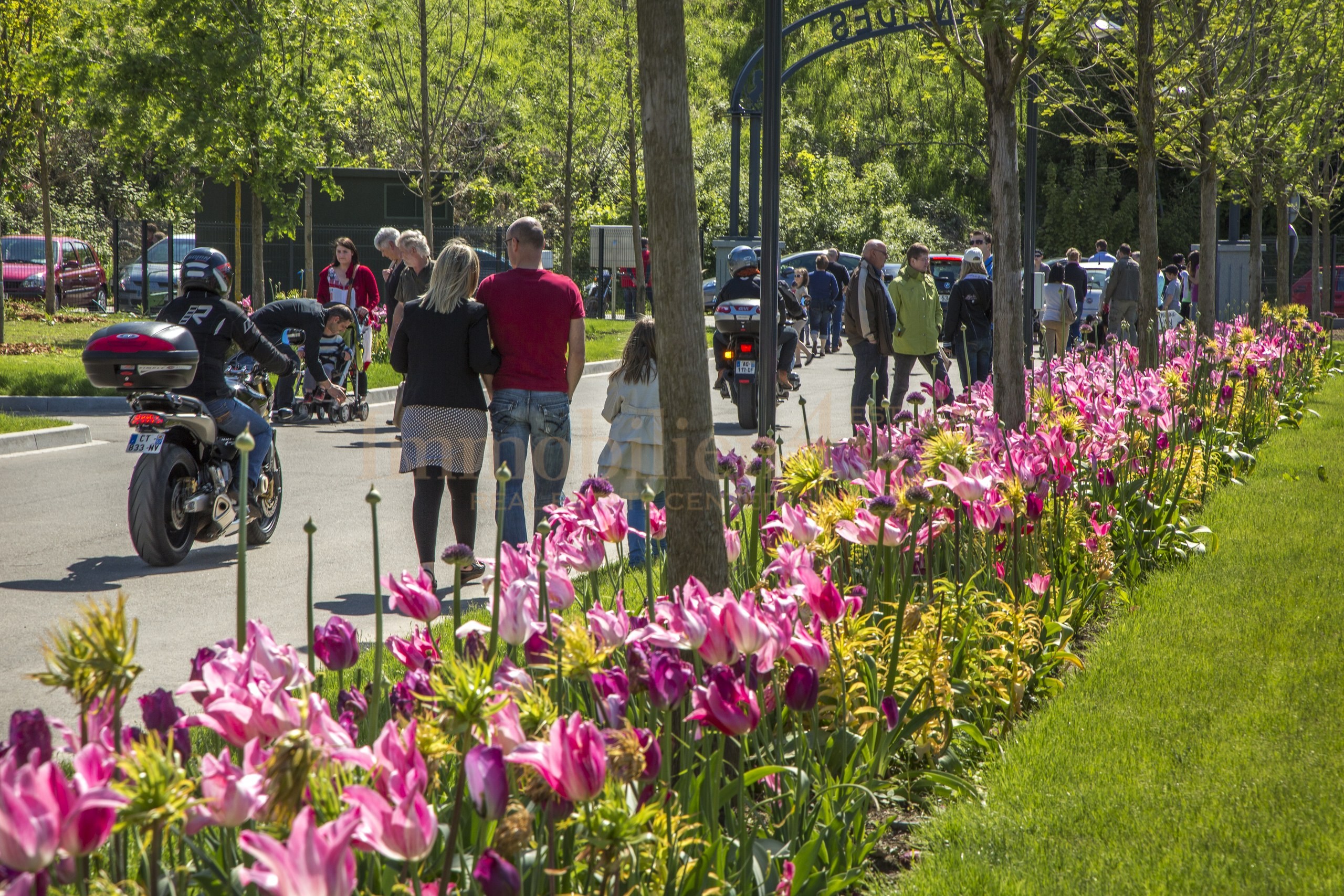 Außenansicht — Blumenweg Besucher