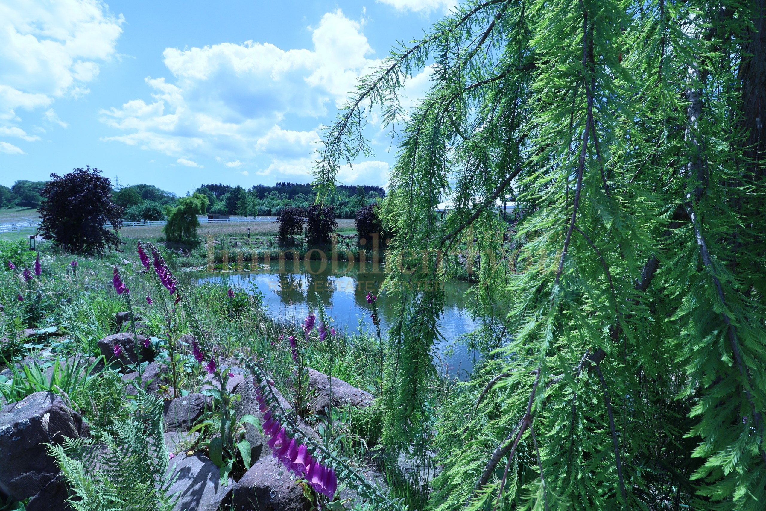 Außenansicht — Gartenanlage Teich