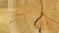 Restaurant — Holzdetail Blockbau