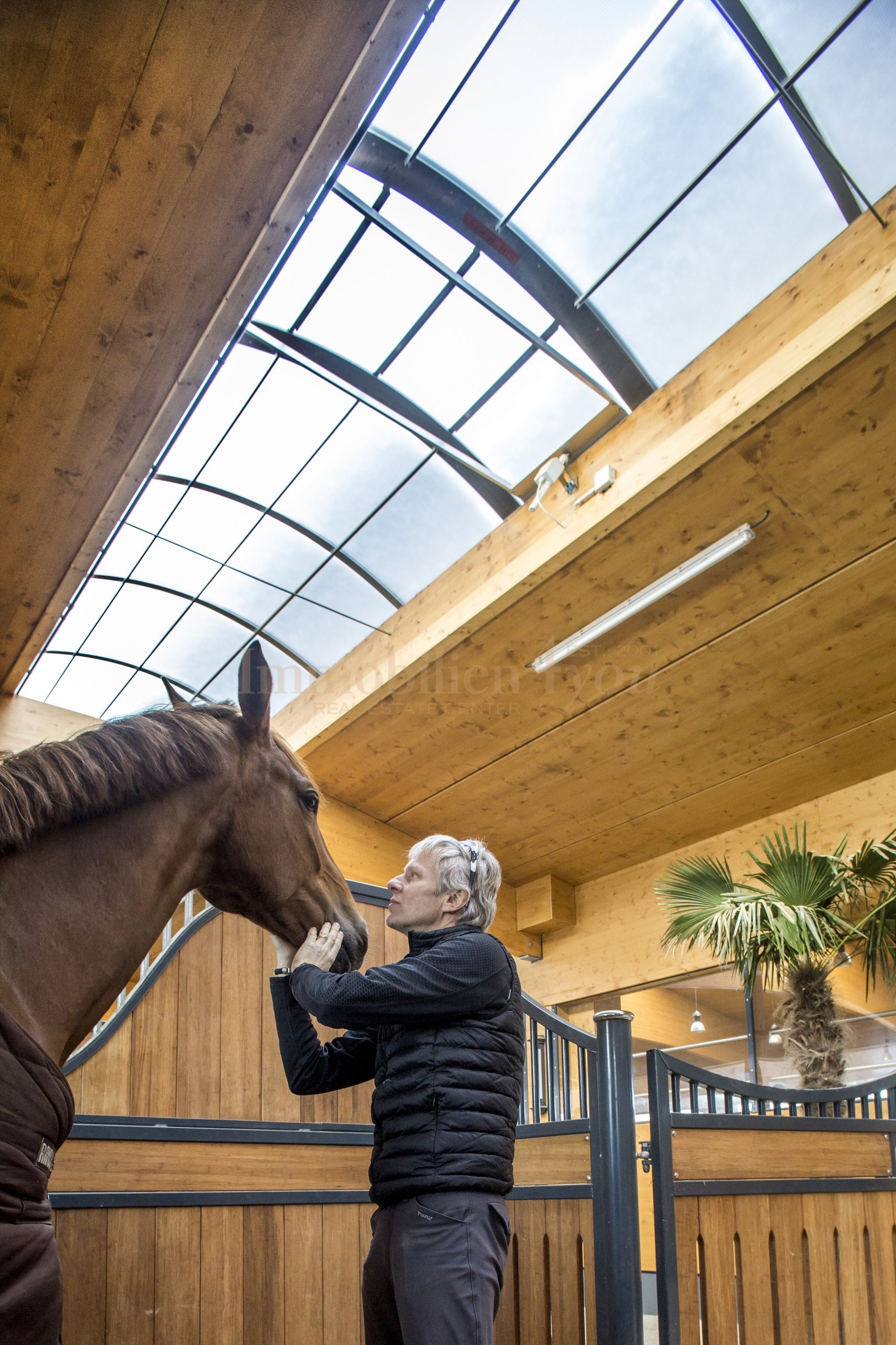 Stallungen — Box Pferd am Fenster