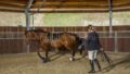 Training — Roundpen Handarbeit