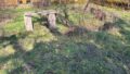 Garten hinter dem Haus